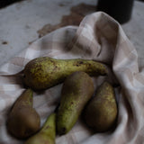 Vedic Napkin - Natural/Beige small check