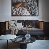 Rips, Chenille Cushions and Cashmere Throw Set